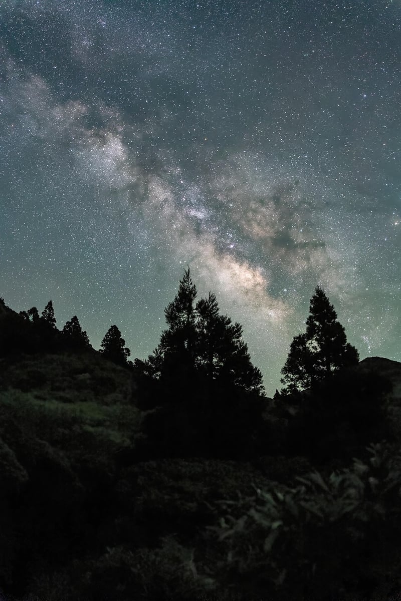 Stargazing in the Wilderness